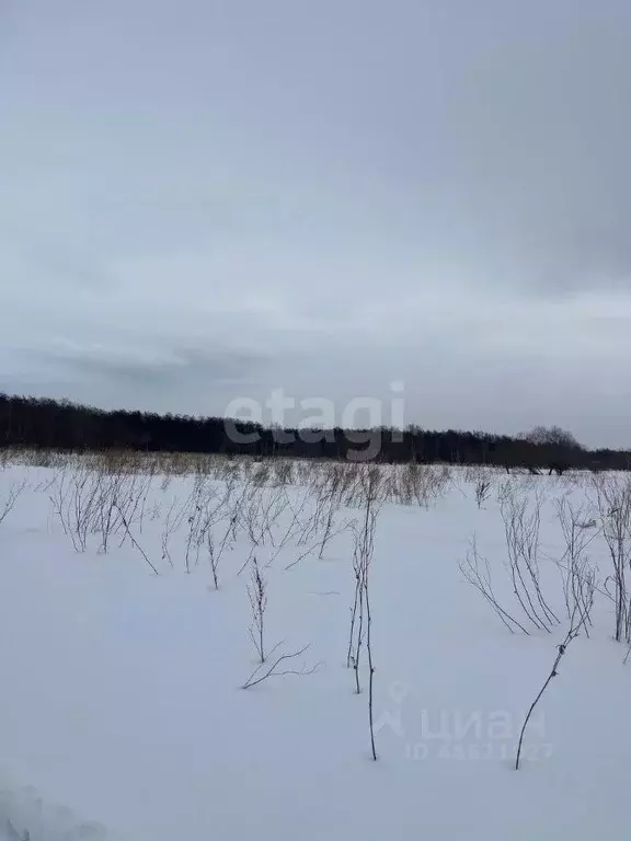 Участок в Сахалинская область, Анивский городской округ, с. ... - Фото 1