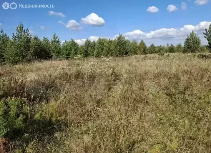 Участок в Свердловская область, городской округ Верхняя Пышма, село ... - Фото 2