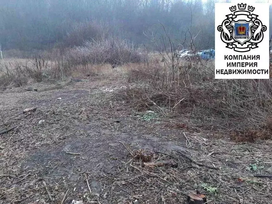 Участок в Белгородская область, Шебекинский муниципальный округ, с. ... - Фото 2