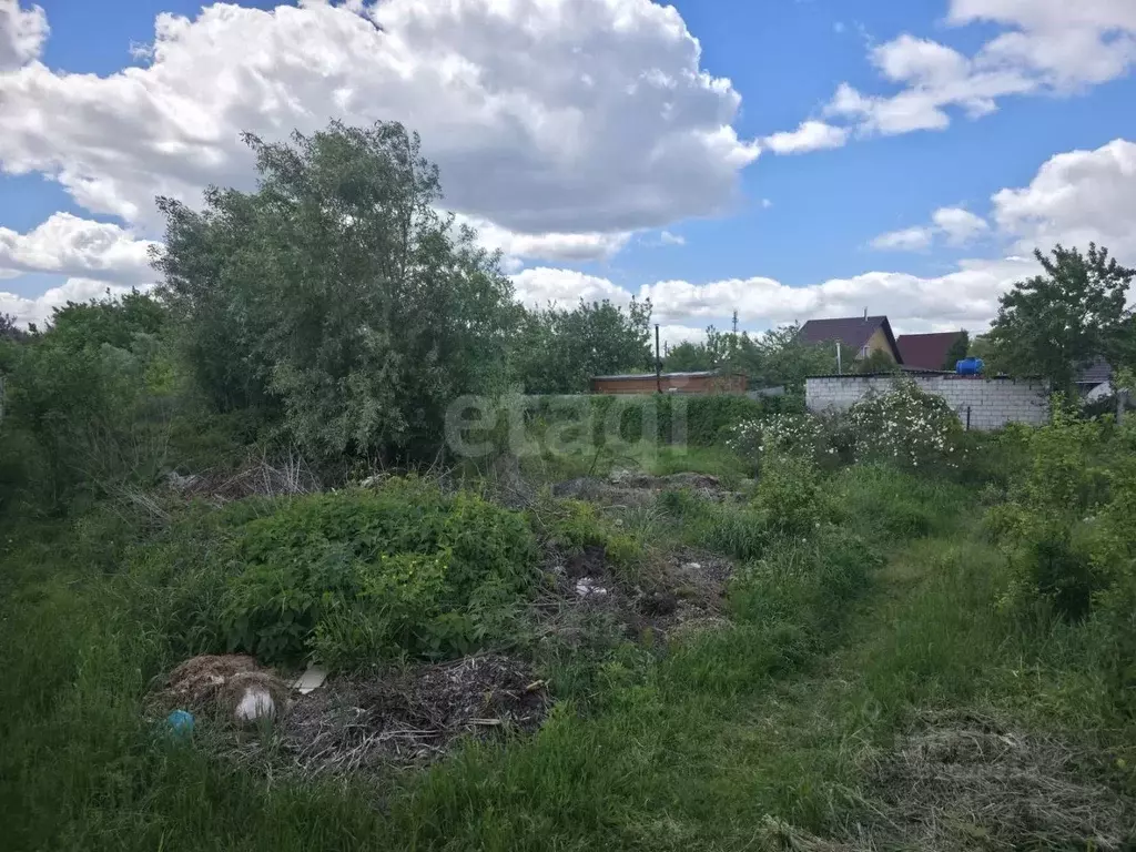 Участок в Брянская область, Брянск Рассвет садовое общество, 2 (6.0 ... - Фото 1