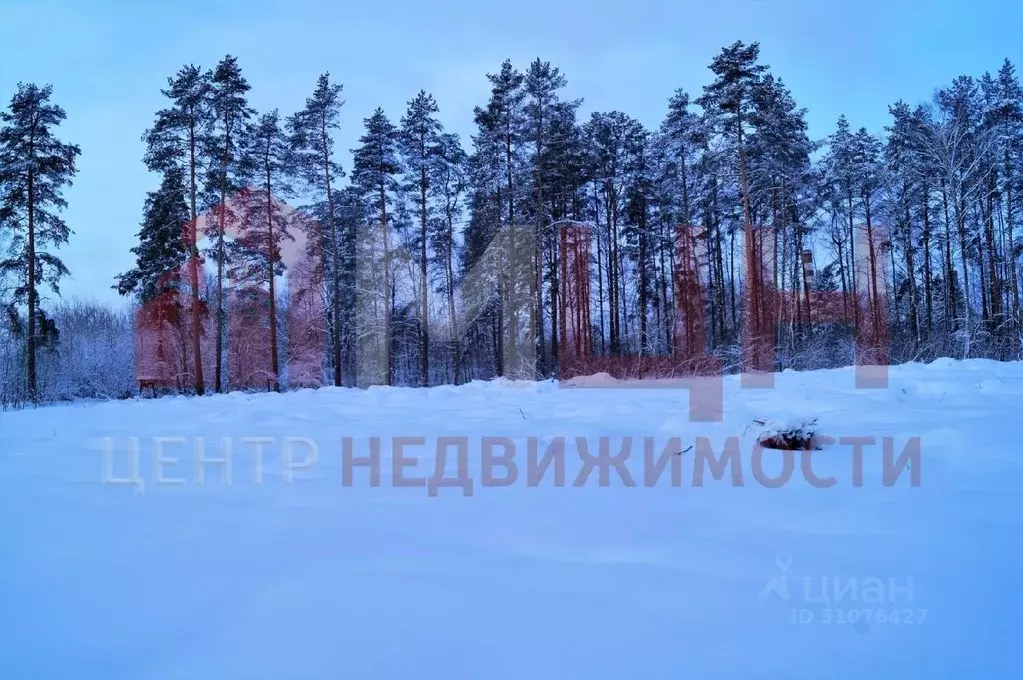 Участок в Тверская область, Конаковский муниципальный округ, Радченко ... - Фото 1