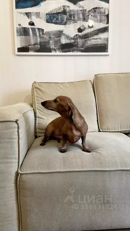 2-к кв. Москва Полярная ул., 27к2 (64.9 м) - Фото 2