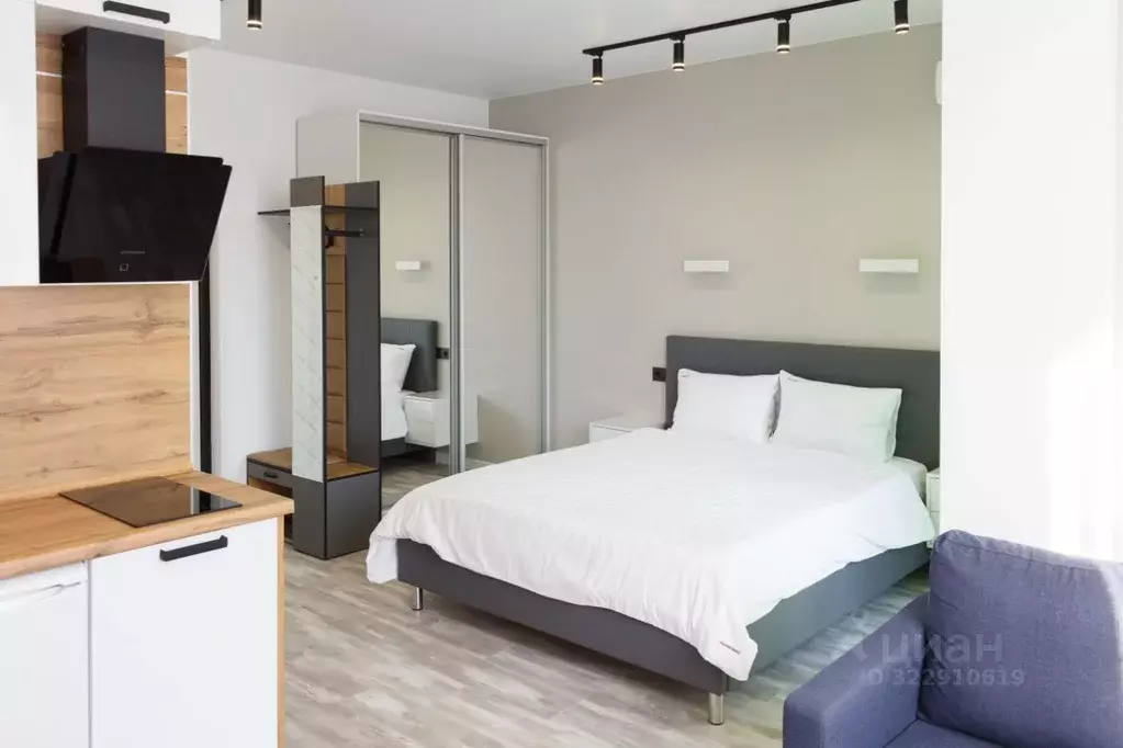 Студия Краснодарский край, Сочи Сириус пгт, ул. Таврическая (30.0 м) - Фото 2