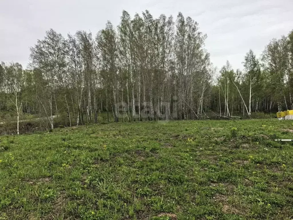 Участок в Новосибирская область, Новосибирский район, Станционный ... - Фото 1