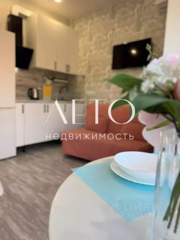 Студия Краснодарский край, Сочи ул. Ленина, 284Г/4 (22.0 м) - Фото 2