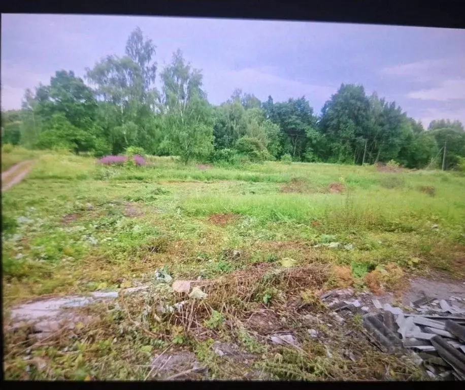 Участок в Калужская область, Бабынинский муниципальный округ, ... - Фото 1