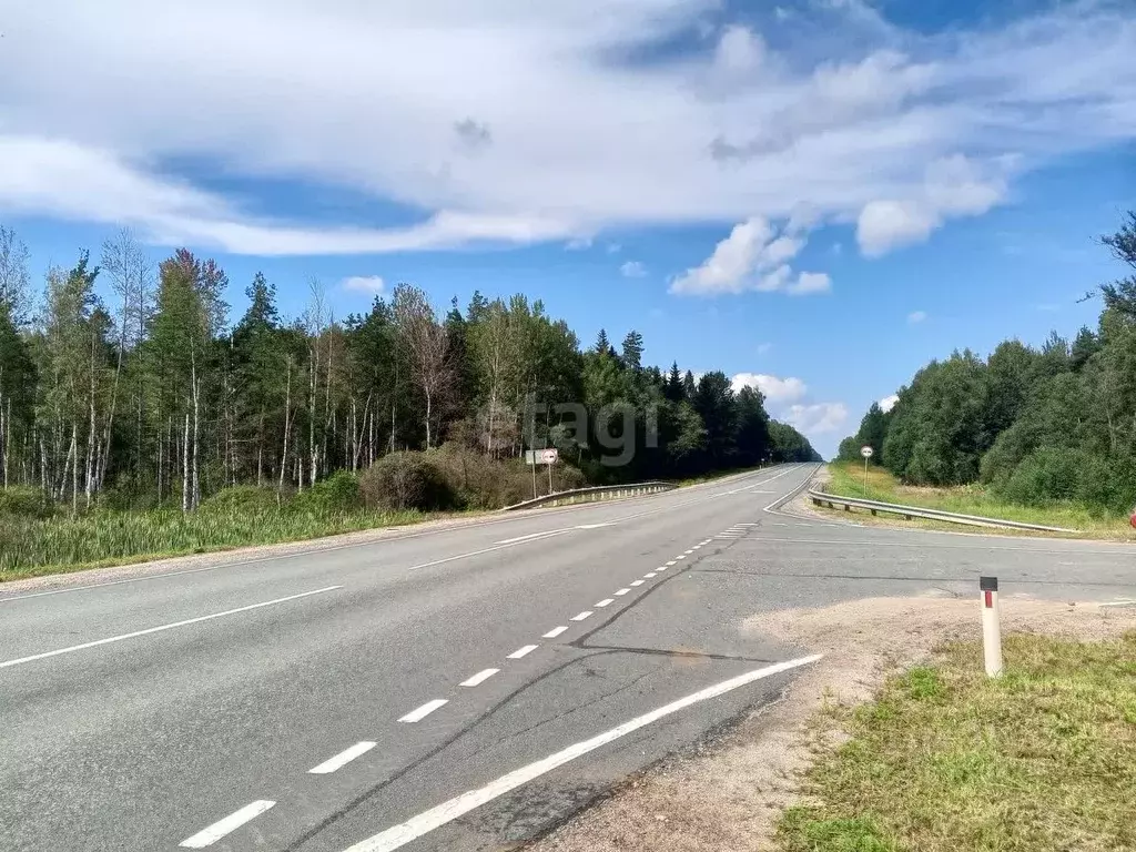 Участок в Псковская область, Пушкиногорский район, Велейская волость, ... - Фото 1
