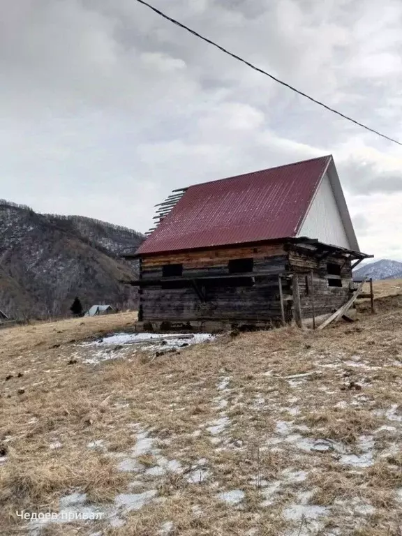Участок в Алтай, Шебалинский район, с. Черга ул. Солнечная (7.0 сот.) - Фото 1