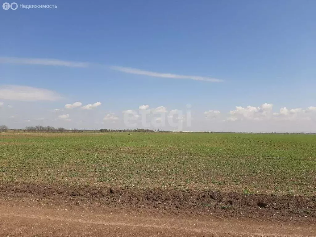 Участок в Николаевское сельское поселение, село Петровка (935.44 м) - Фото 1
