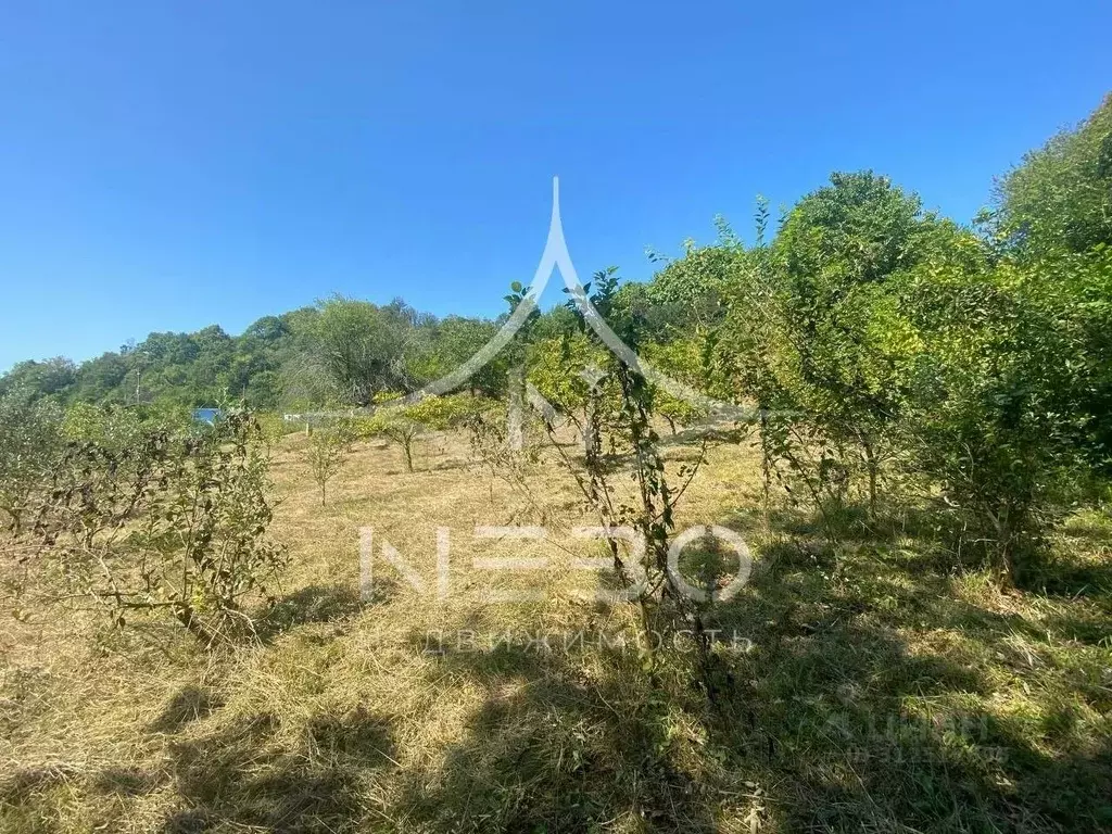 Участок в Краснодарский край, Сочи городской округ, с. Горное Лоо ул. ... - Фото 1