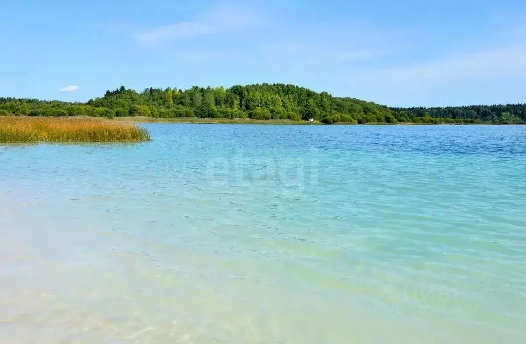 Дом в Ленинградская область, Волосовский район, Калитинское с/пос, д. ... - Фото 1