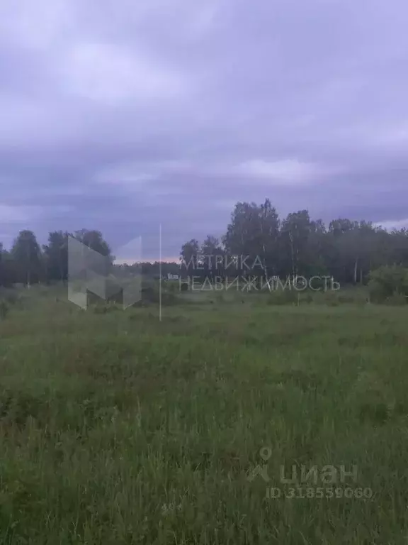 Участок в Тюменская область, Ялуторовский район, Тугарское ДНТ  (20.0 ... - Фото 0