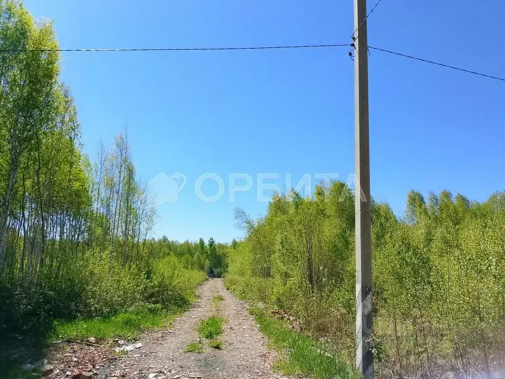 Участок в Тюменская область, Нижнетавдинский район, Моторостроитель ... - Фото 1