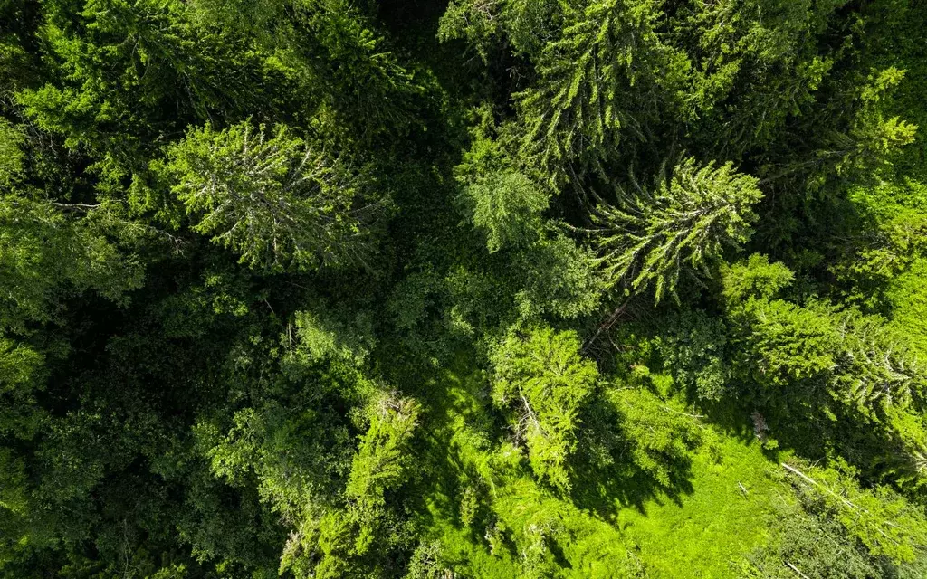Участок в Московская область, Волоколамский муниципальный округ, ... - Фото 1