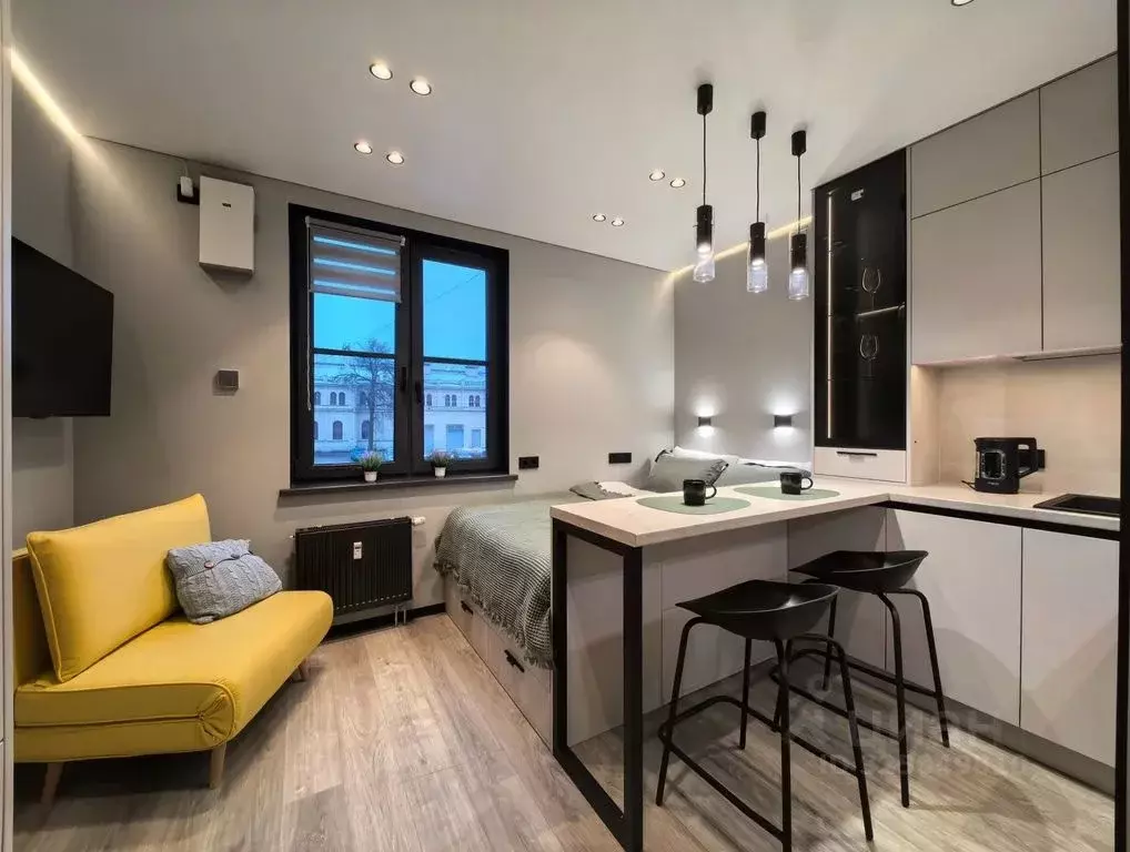 Студия Санкт-Петербург наб. Обводного Канала, 118бБ (20.0 м) - Фото 2