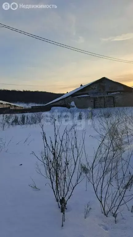 Участок в Гафурийский район, Бельский сельсовет, деревня Кутлугуза (56 ... - Фото 1