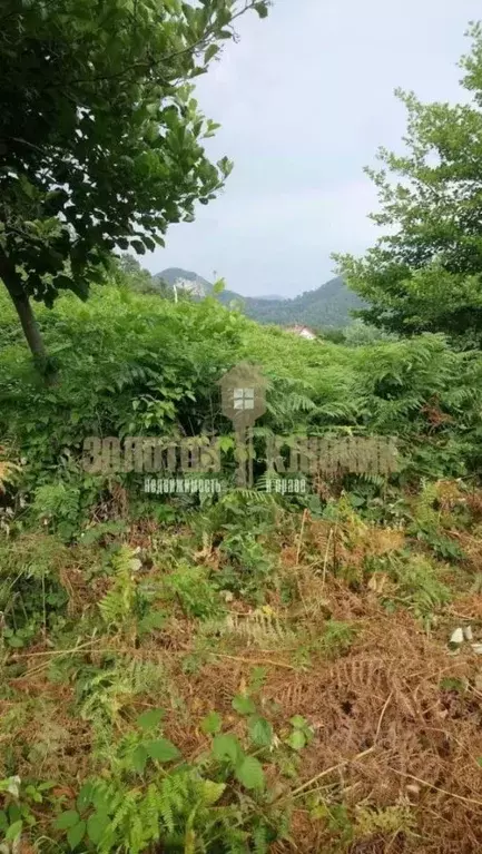 Участок в Краснодарский край, Сочи Курская ул. (5.0 сот.) - Фото 1