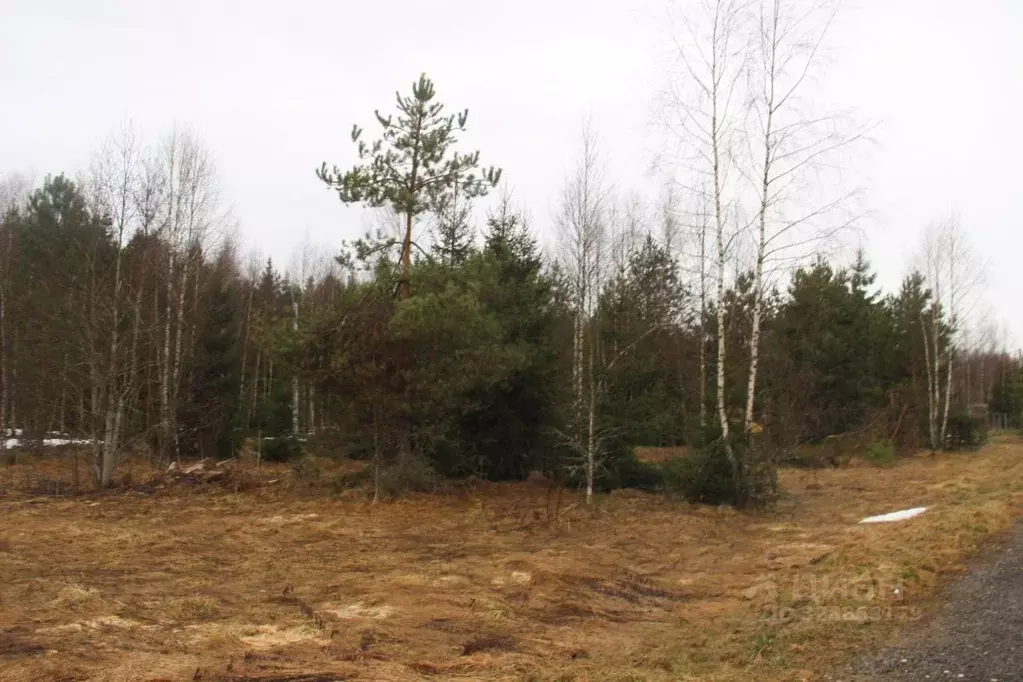 Участок в Московская область, Шаховская муниципальный округ, д. ... - Фото 2