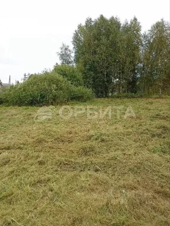 Участок в Тюменская область, Нижнетавдинский муниципальный округ, ... - Фото 1