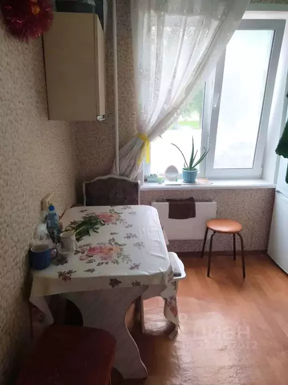 Комната Самарская область, Тольятти ул. Фрунзе, 25 (14.0 м) - Фото 1