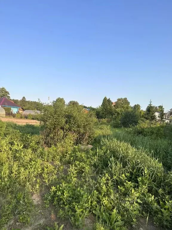 Участок в Новосибирская область, Новосибирск Черемушная ул. (7.92 ... - Фото 2