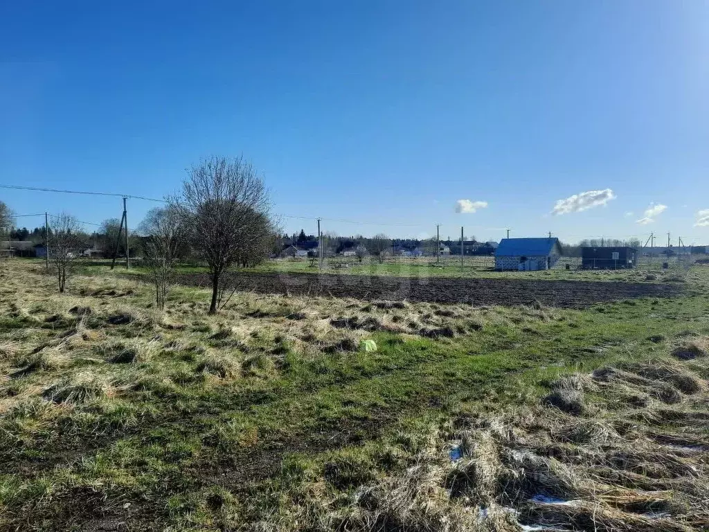 Участок в Ленинградская область, Ломоносовский район, Лопухинское ... - Фото 0