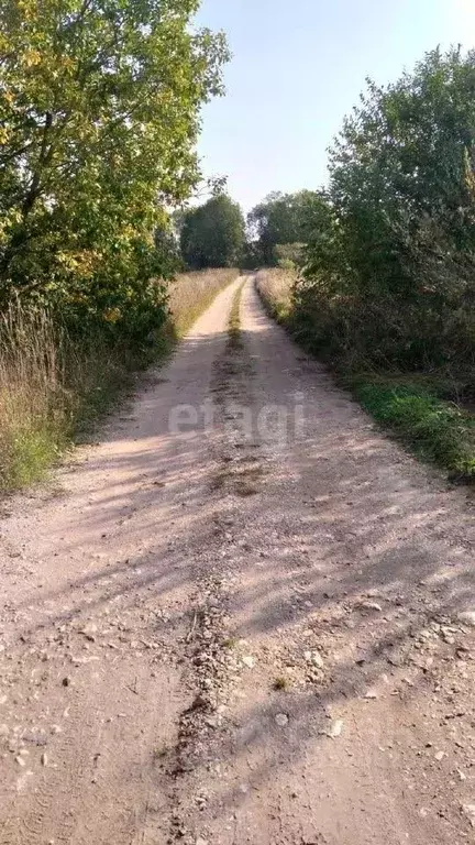 Участок в Новгородская область, Новгородский район, Трубичинское ... - Фото 1