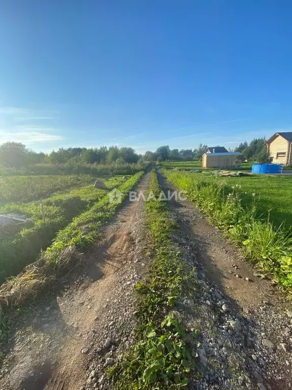 Участок в Вологодская область, д. Турутино  (17.75 сот.) - Фото 1