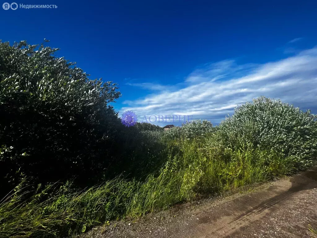 Участок в Ивангород, улица Комсомола (10 м) - Фото 1