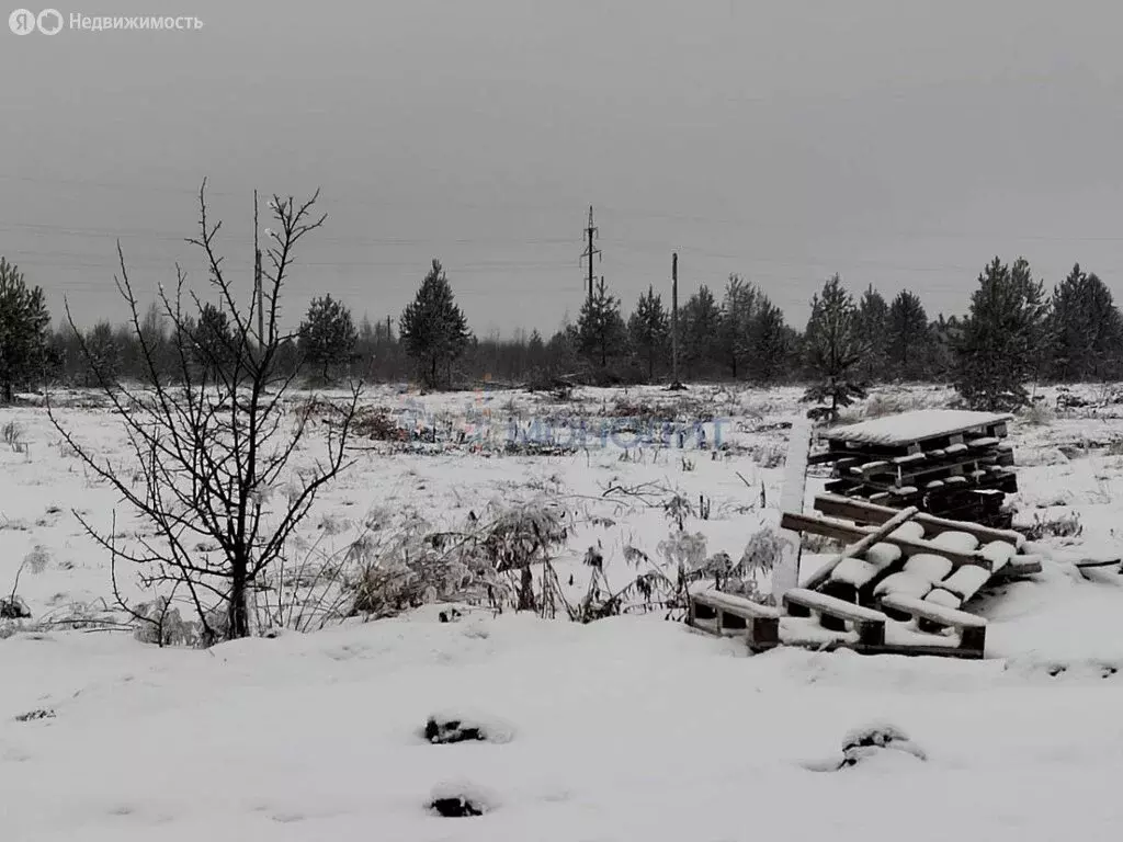 Участок в село Безводное, улица Вячеслава Борисова (8 м) - Фото 1