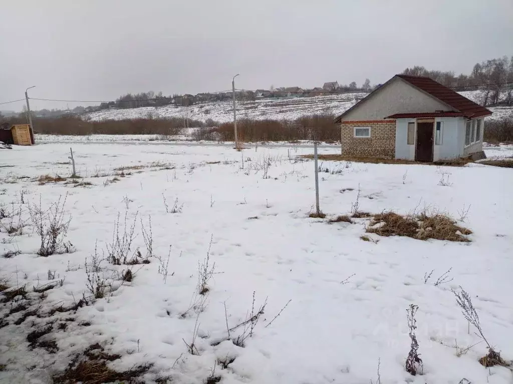 Участок в Мордовия, с. Лямбирь ул. Маринова (10.0 сот.) - Фото 1