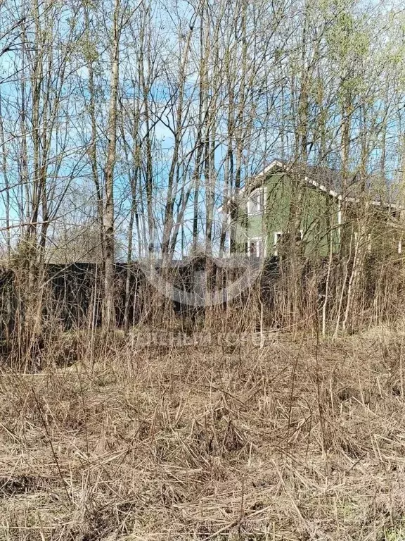 Участок в Московская область, Клин городской округ, с. Горки  (6.0 ... - Фото 2