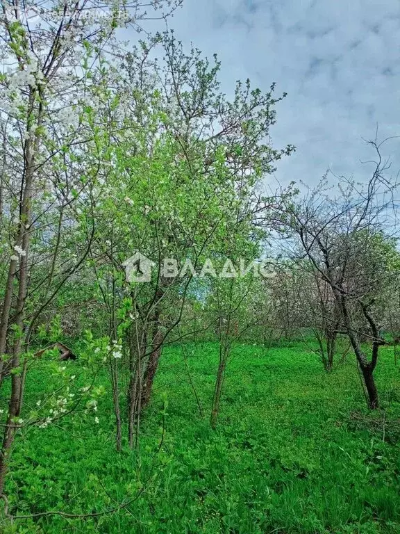 Участок в Владимир, сад № 2 завода Автоприбор, 2 (6.8 м) - Фото 1