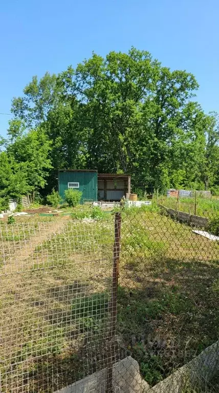 Участок в Приморский край, Артемовский городской округ, с. Суражевка ... - Фото 1