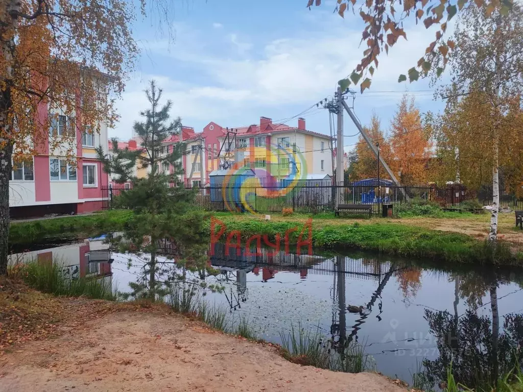 1-к кв. Ивановская область, Ивановский район, Богданихское с/пос, д. ... - Фото 2