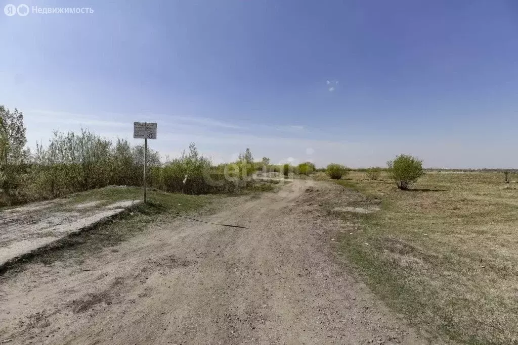 Участок в Тюменский район, деревня Паренкина, Летняя улица (10.9 м) - Фото 1