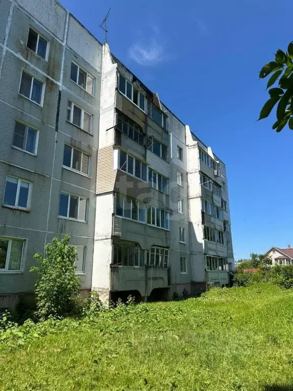 1-к кв. Приморский край, Надеждинский район, с. Вольно-Надеждинское ... - Фото 1