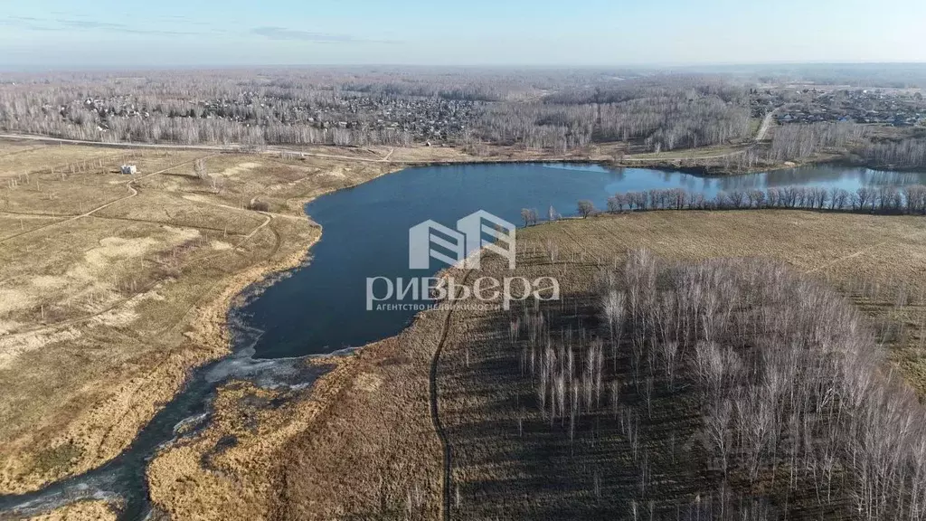 Участок в Новосибирская область, Мошковский район, с. Сокур  (50.0 ... - Фото 1