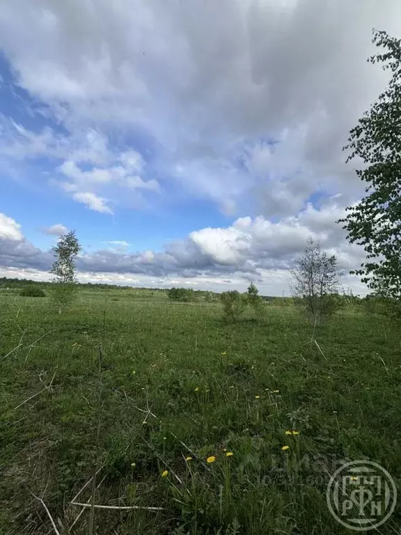 Участок в Ленинградская область, Ломоносовский район, Лопухинское ... - Фото 1