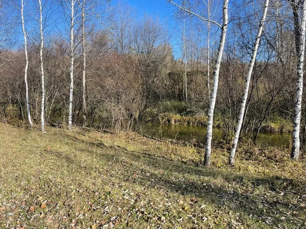 Участок в Алтайский край, Барнаул  (16.0 сот.) - Фото 2