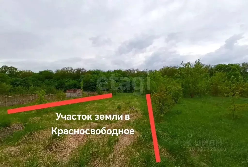 Участок в Тамбовская область, Тамбовский муниципальный округ, с. ... - Фото 1