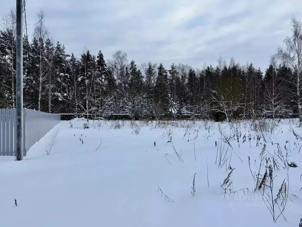 Участок в Московская область, Балашиха  (20.0 сот.) - Фото 2