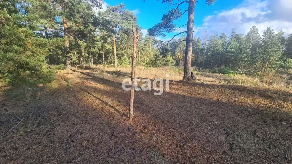 Участок в Владимирская область, Покров городской округ, пос. Городищи ... - Фото 1