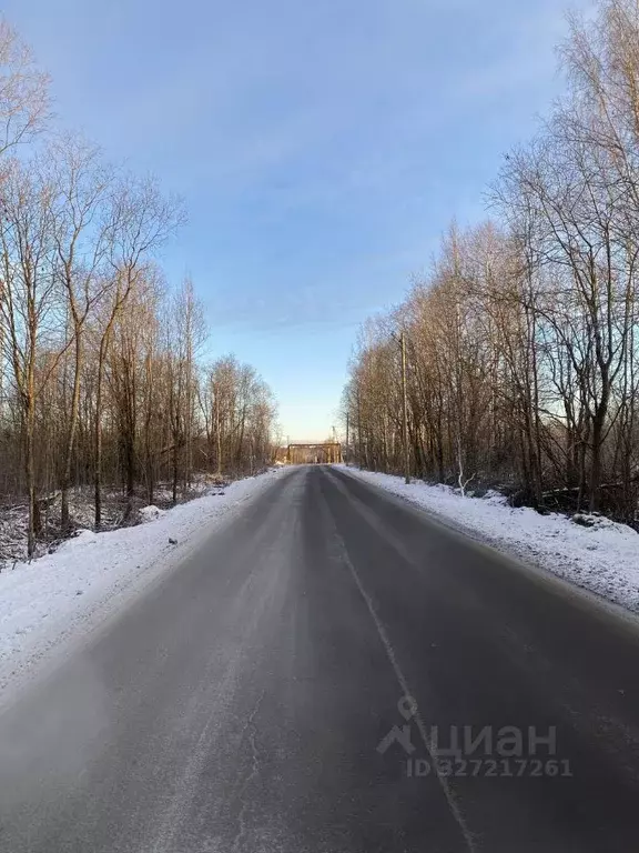 Участок в Астраханская область, Наримановский район, с. Волжское Абая ... - Фото 1