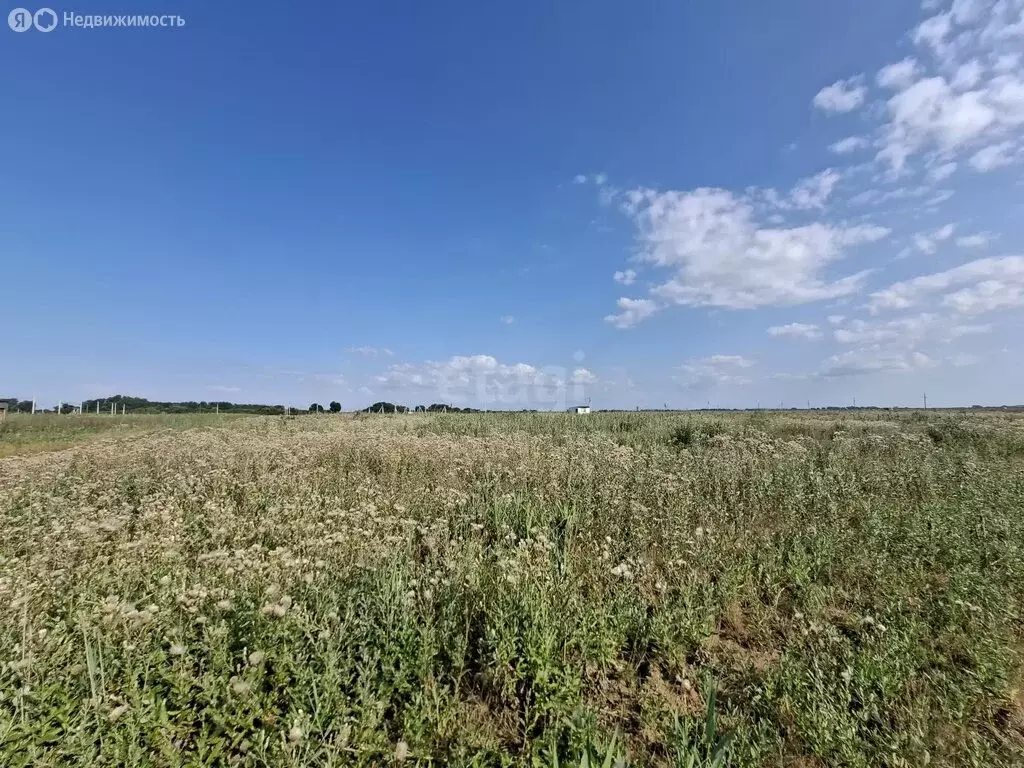 Участок в Темрюк, Привольная улица (7.5 м) - Фото 2