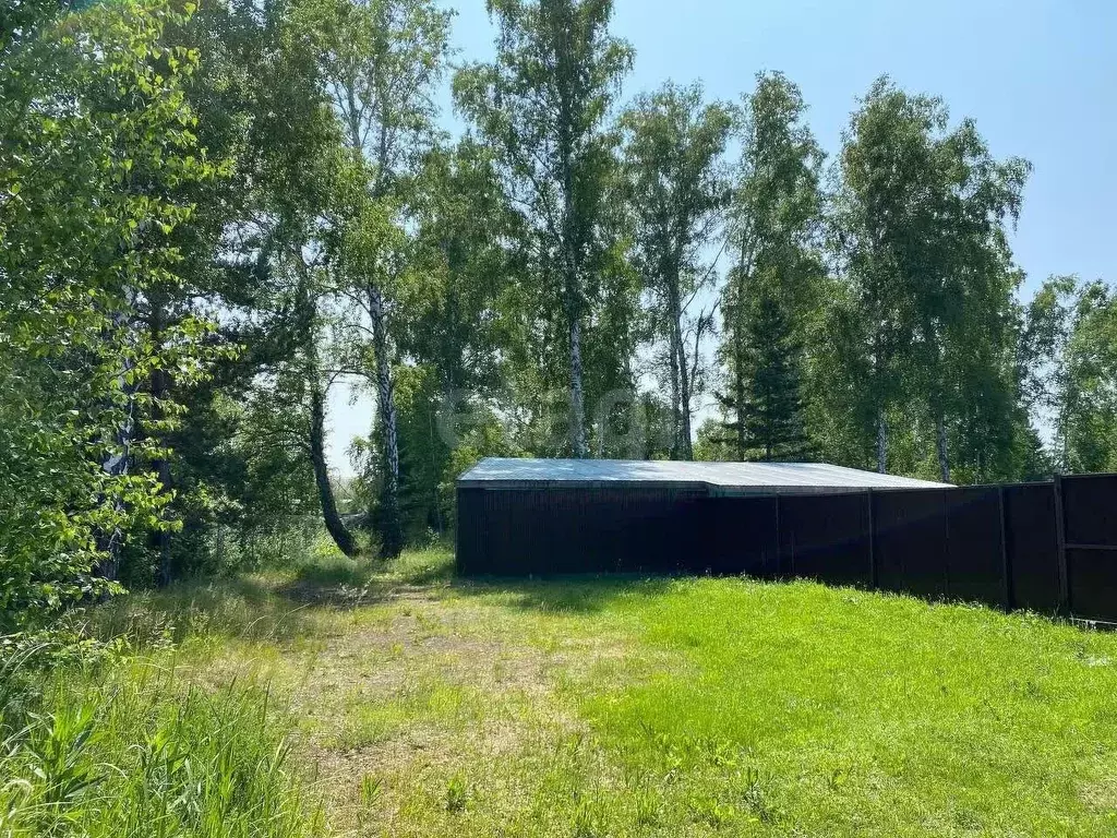 Участок в Курганская область, Кетовский муниципальный округ, д. ... - Фото 1