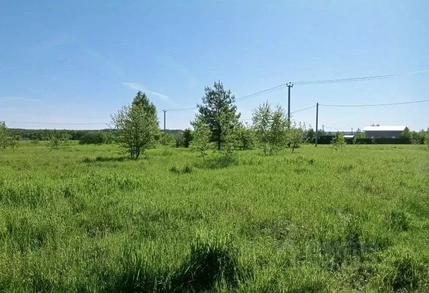 Участок в Московская область, Егорьевск муниципальный округ, д. Юрцово ... - Фото 2