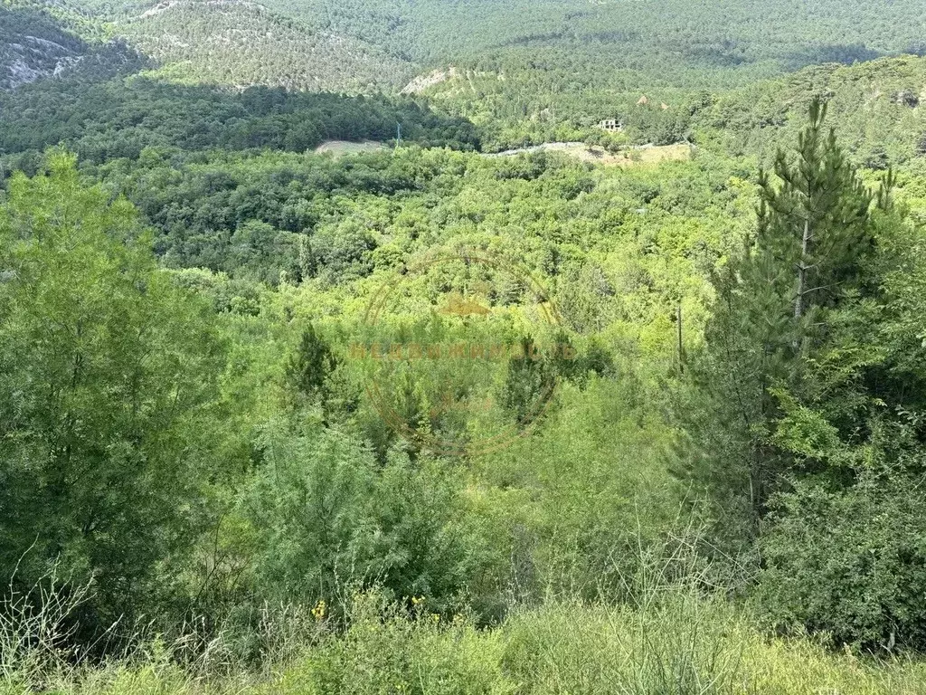 Участок в Крым, Ялта муниципальный округ, Виноградное пгт ул. Красина ... - Фото 2