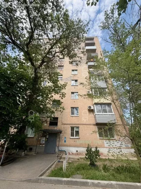 1-комнатная квартира: Волгоград, улица Козьмы Минина, 16 (32.7 м) - Фото 1