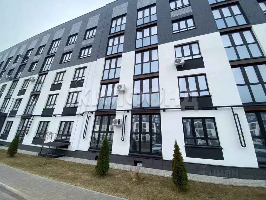 1-к кв. Брянская область, Брянский район, пос. Мичуринский, ... - Фото 2